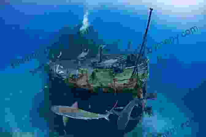 A Diver Exploring The Wreckage Of The Palmer Cay Shipwreck. Scuttled: The Sinking Of The Palmer Cay