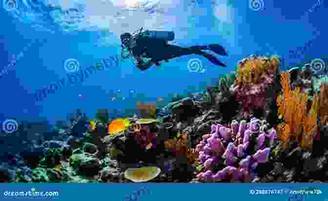 A Diver Swims Amidst A Vibrant Coral Reef. Protector Of The Ocean: A Children S About Protecting Our Environment