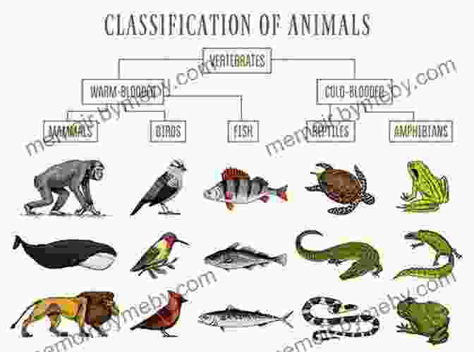 A Diverse Array Of Animals, Including Birds, Mammals, Reptiles, And Amphibians, Inhabit Earth's Ecosystems. Innumerable Insects: The Story Of The Most Diverse And Myriad Animals On Earth (Natural Histories)