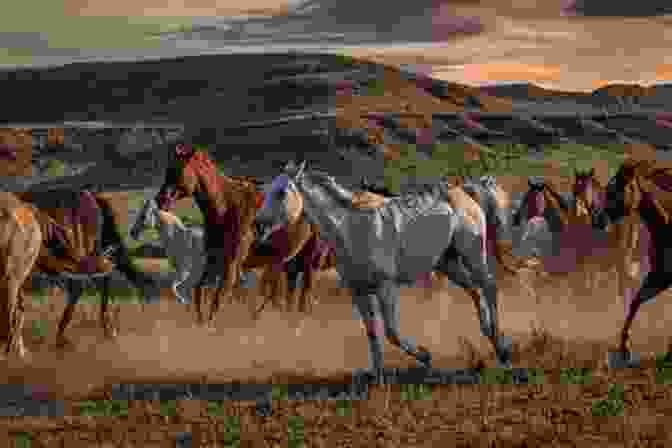 A Herd Of Wild Horses Running Across A Field At Sunrise Wild Blood (Horses Of The Dawn #3)