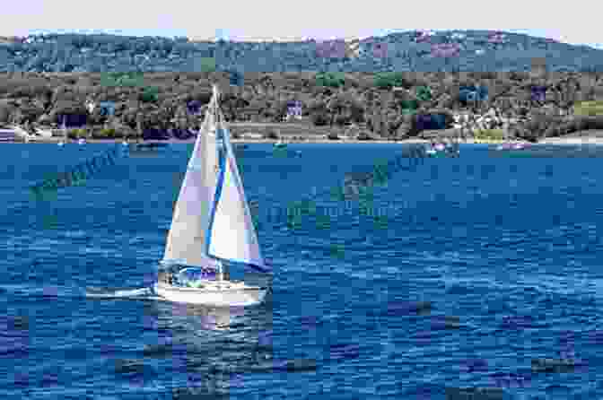 A Sailboat Sailing Off The Coast Of Maine A Woman S Guide To The Sailing Lifestyle: The Essentials And Fun Of Sailing Off The New England Coast