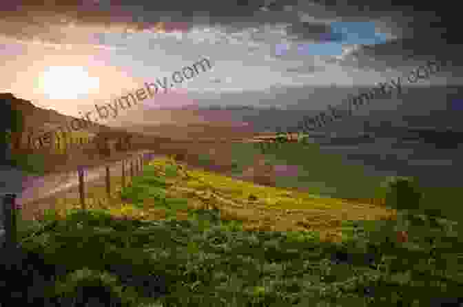 A Scenic View Of A Rural Landscape With Rolling Hills And Farmlands Wendell Berry: Life And Work (Culture Of The Land)