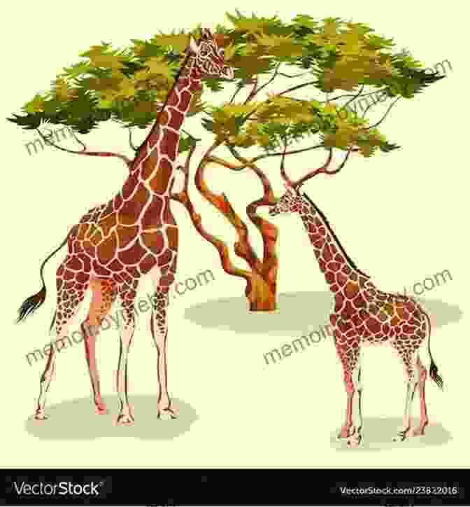 A Watercolor Illustration Of A Turtle And Giraffe Sitting Under A Tree, Sharing A Book. The Turtle And Giraffe Patricia Aman