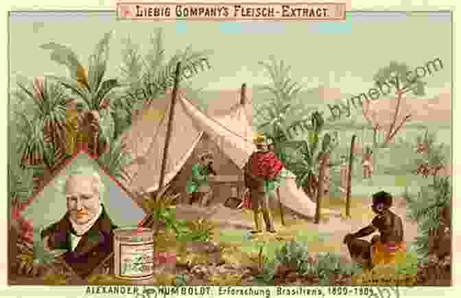 Alexander Von Humboldt In South America Personal Narrative Of Travels To The Equinoctial Regions Of The New Continent During The Years 1799 1804 By Alexander De Humboldt And Aime Bonpland C : Volume 5 (Alexander Von Humboldt)