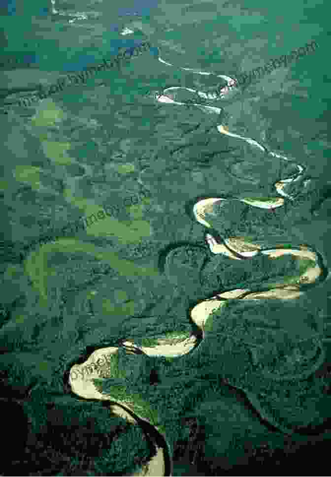 An Aerial View Of A Meandering River, Showcasing Its Serpentine Beauty The Persistence Of Rivers: An Essay On Moving Water