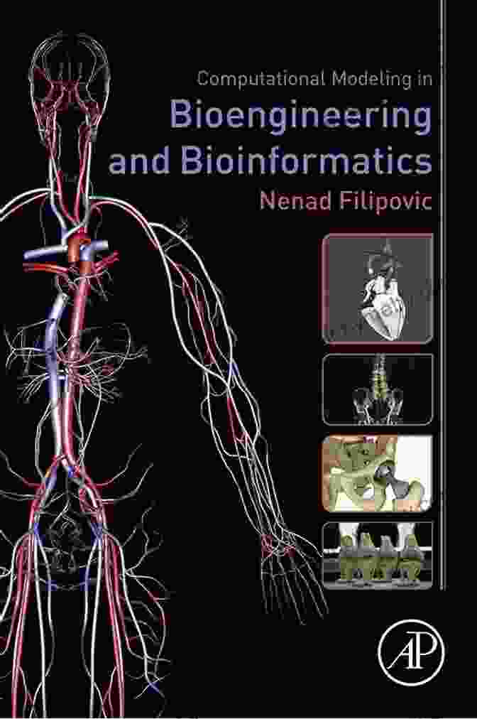 An Image Illustrating The Fundamental Concepts Of Computational Modeling In Bioengineering Computational Modeling In Bioengineering And Bioinformatics