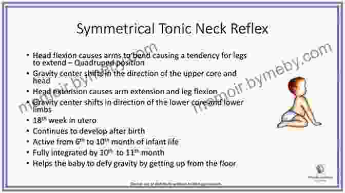 An Interactive Guide To Understanding The Symmetrical Tonic Neck Reflex (STNR) Integrating Primitive Reflexes Through Play And Exercise: An Interactive Guide To The Symmetrical Tonic Neck Reflex (STNR) (Reflex Integration Through Play)