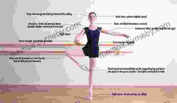 Celestial Bodies: How to Look at Ballet