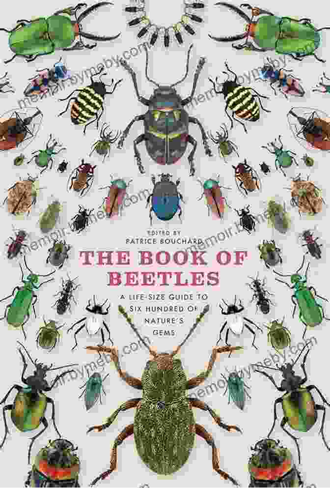 Cover Of 'Birds, Bones, And Beetles' Book, Featuring A Vibrant Image Of A Bird, Animal Bones, And Beetles Against A Backdrop Of Lush Foliage. Birds Bones And Beetles: The Improbable Career And Remarkable Legacy Of University Of Kansas Naturalist Charles D Bunker