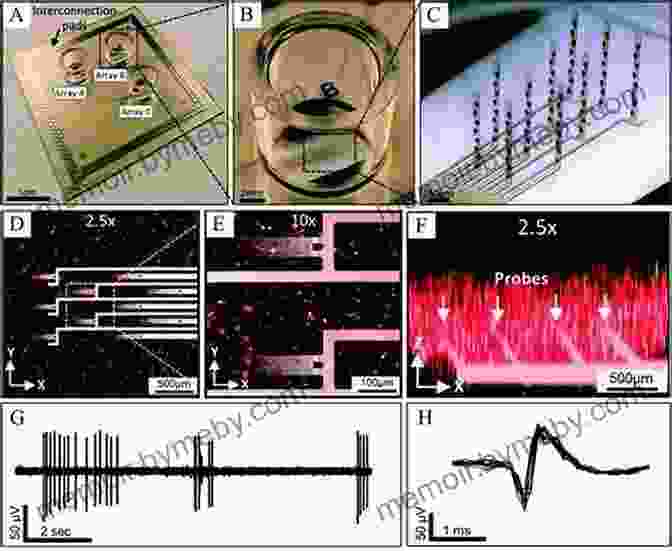 Electrophysiological Recordings Combined With Electrochemical Measurements Electrochemical Methods For Neuroscience (Frontiers In Neuroengineering 1)