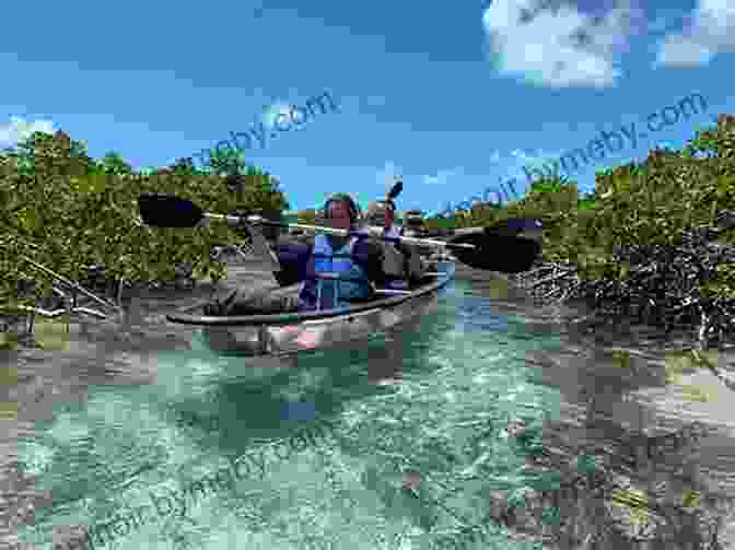 Group Of Friends Kayaking In The Turquoise Waters Of Cupid Cay Cupid S Cay Off Governor S Harbour Eleuthera: My Bird S Eye View