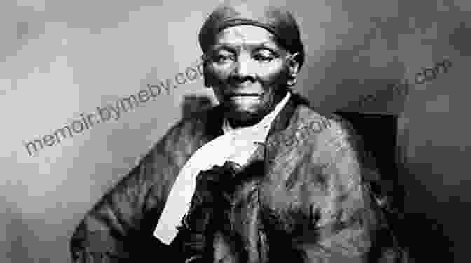 Harriet Tubman, The Fearless Abolitionist I Am Harriet Tubman (Xavier Riddle And The Secret Museum)