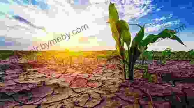 Image Showing A Parched Landscape With Dried Up Vegetation, Highlighting The Severity Of Water Scarcity Protecting Your Child S Health: Expert Answers To Urgent Environmental Questions