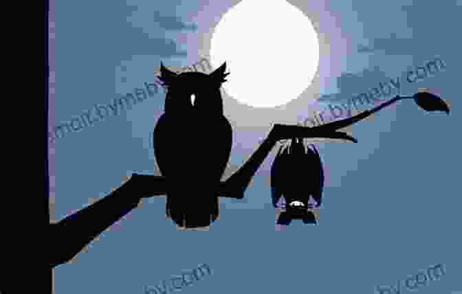 Little Owl And Bat Flying Together Through The Night Sky Little Owl S Night Divya Srinivasan