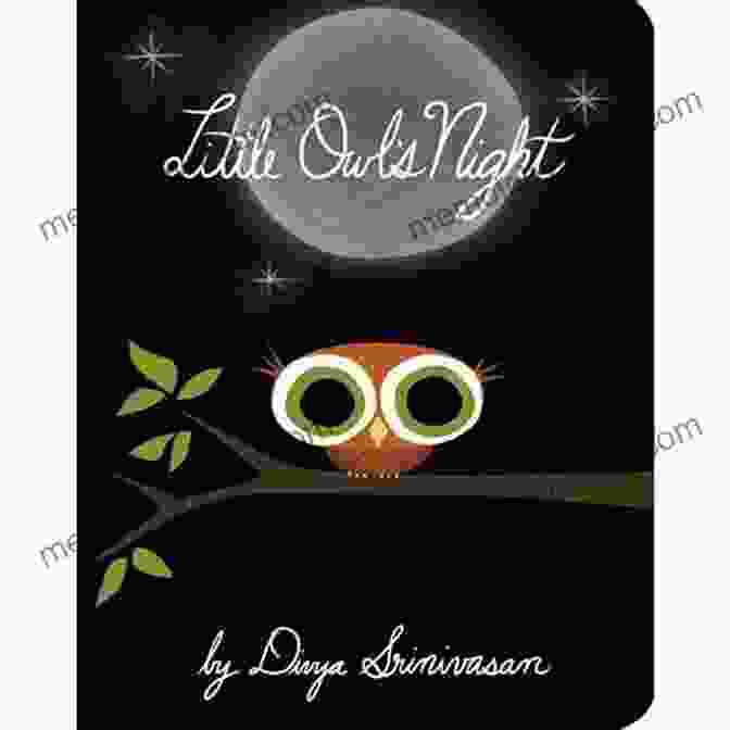 Little Owl Night Book Cover Featuring An Owl Sitting On A Branch Under A Starry Night Sky Little Owl S Night Divya Srinivasan