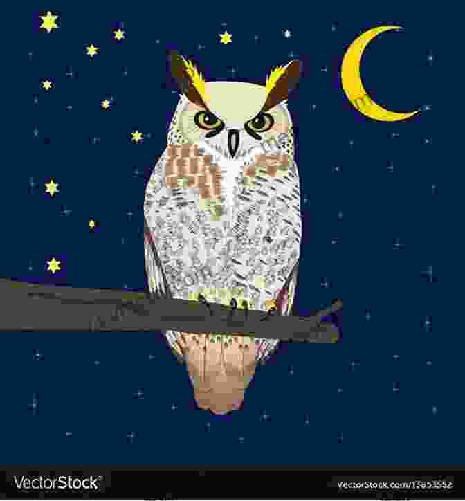 Little Owl Sitting On The Moon, Looking Up At The Stars Little Owl S Night Divya Srinivasan