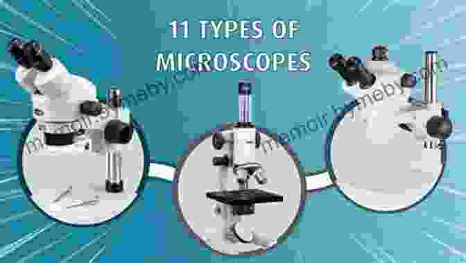 Microscope Images Showcasing Microscopy's Applications In Various Scientific Disciplines. The Ultimate Guide To The Microscope II: Microscope Slide Preparation Stains And Techniques