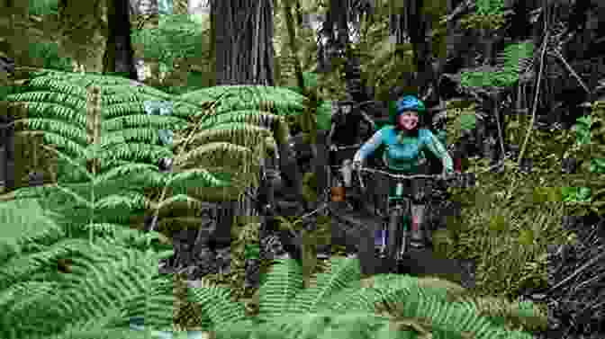 Mountain Bikers Navigate Through The Towering Redwoods Of Rotorua Kiwi Legends: Mountain Biking In New Zealand