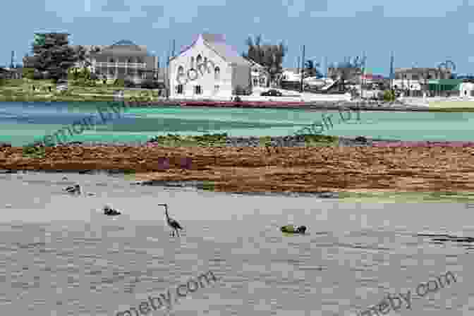 Panoramic View Of Cupid Cay From The Beach Cupid S Cay Off Governor S Harbour Eleuthera: My Bird S Eye View