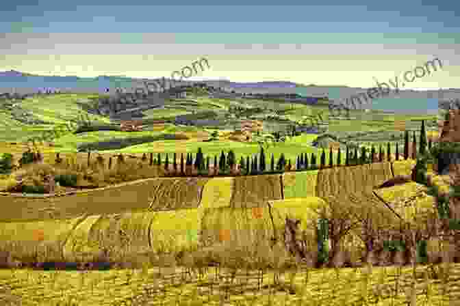 Panoramic View Of The Rolling Hills And Vineyards Of Tuscany Tuscany: A History Alistair Moffat