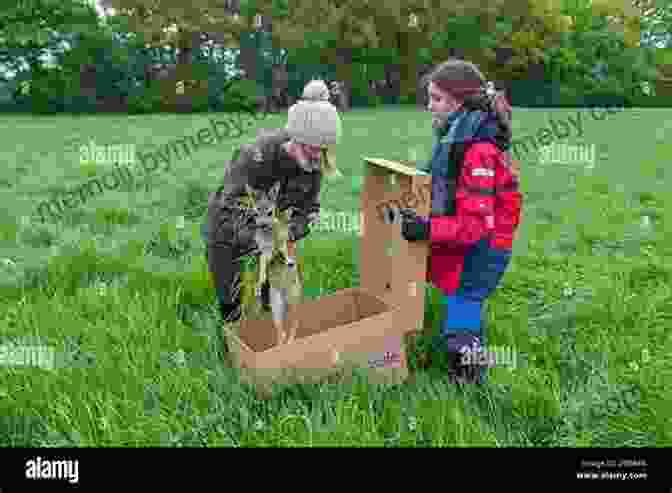 Rescue Team Finding Zoe In The Savanna The Lonely Lion Cub (Zoe S Rescue Zoo #1)