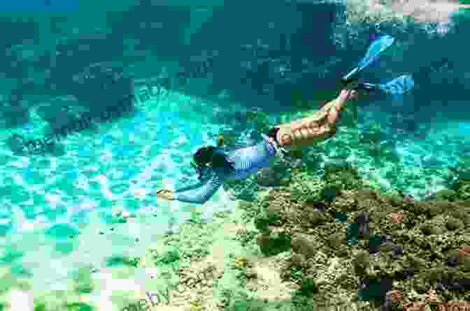 Snorkeling In The Crystal Clear Waters Of Cupid Cay Cupid S Cay Off Governor S Harbour Eleuthera: My Bird S Eye View