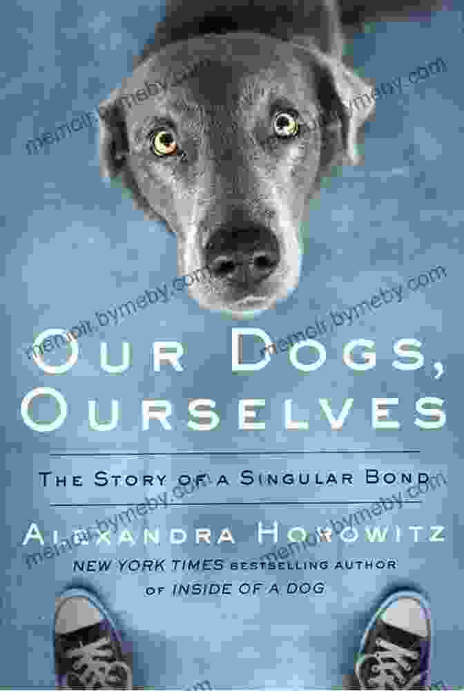 The Story Of Singular Bond Book Cover Featuring A Couple Embracing Under A Starry Sky. Our Dogs Ourselves: The Story Of A Singular Bond