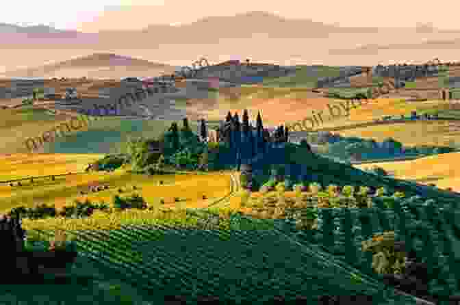 Vineyards Stretching Across The Tuscan Hills, A Testament To The Region's Viticultural Heritage Tuscany: A History Alistair Moffat