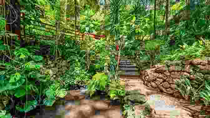 Young Judith Williams Surrounded By Lush Rainforest And Towering Trees. Heart Of The Raincoast: A Life Story