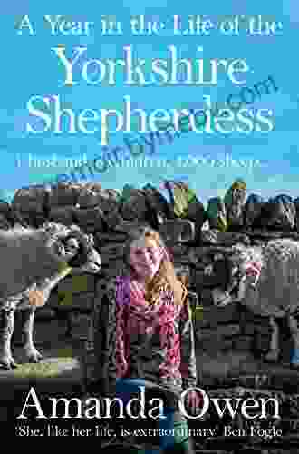 A Year In The Life Of The Yorkshire Shepherdess