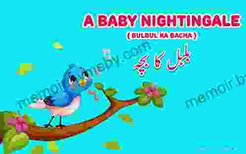 A Baby Nightingale ( Bulbul Ka Bacha): Bilingual Edition English Urdu