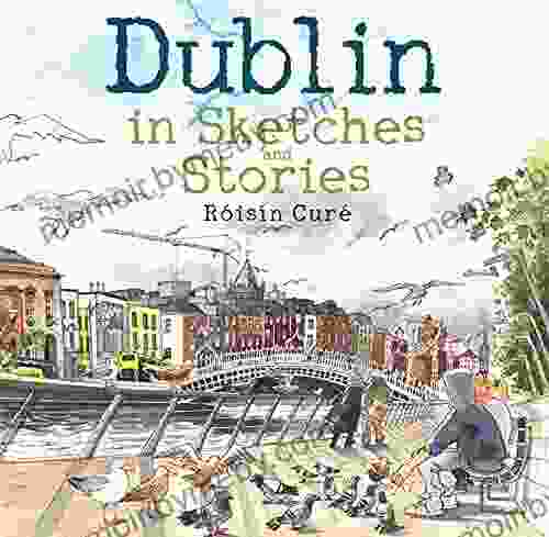 Dublin In Sketches And Stories