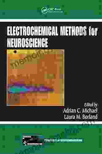 Electrochemical Methods for Neuroscience (Frontiers in Neuroengineering 1)