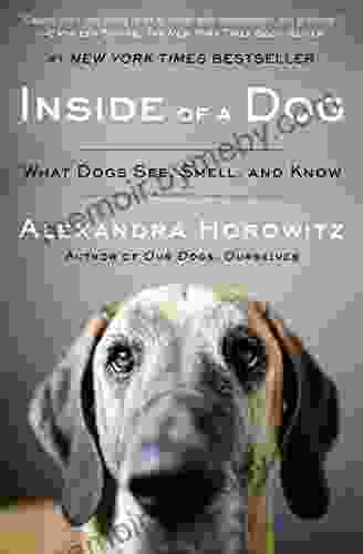 Inside Of A Dog: What Dogs See Smell And Know