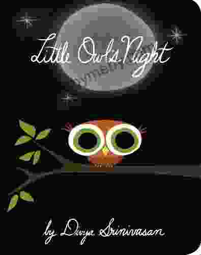 Little Owl S Night Divya Srinivasan