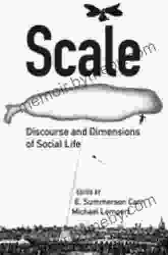 Scale: Discourse And Dimensions Of Social Life