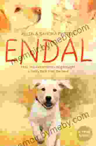 Endal: How One Extraordinary Dog Brought A Family Back From The Brink