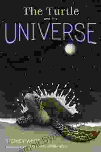 The Turtle and the Universe