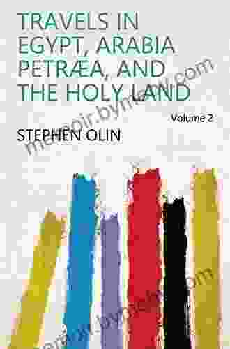 Travels In Egypt Arabia Petraea And The Holy Land Volume 2