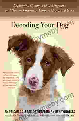 Decoding Your Dog: Explaining Common Dog Behaviors And How To Prevent Or Change Unwanted Ones