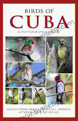 Photographic Guide to the Birds of Cuba